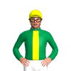 Jockey Silk