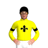 Jockey Silk