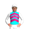 Jockey Silk