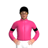 Jockey Silk