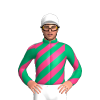 Jockey Silk