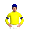 Jockey Silk