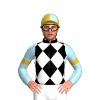 Jockey Silk