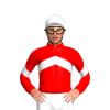 Jockey Silk