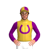 Jockey Silk