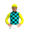 Jockey Silk