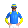 Jockey Silk