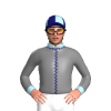 Jockey Silk