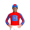 Jockey Silk