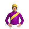 Jockey Silk