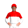 Jockey Silk