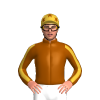 Jockey Silk