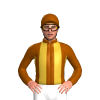 Jockey Silk