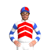 Jockey Silk