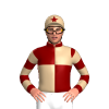 Jockey Silk