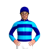 Jockey Silk