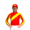 Jockey Silk