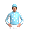 Jockey Silk