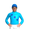 Jockey Silk