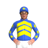 Jockey Silk