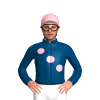 Jockey Silk