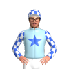 Jockey Silk