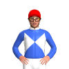 Jockey Silk