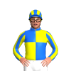 Jockey Silk