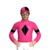 Jockey Silk