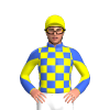 Jockey Silk