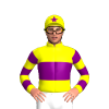 Jockey Silk