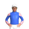 Jockey Silk