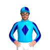 Jockey Silk