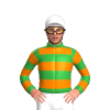 Jockey Silk