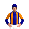 Jockey Silk