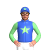 Jockey Silk