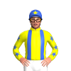 Jockey Silk