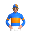 Jockey Silk