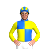 Jockey Silk