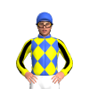 Jockey Silk