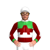 Jockey Silk