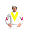 Jockey Silk