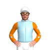 Jockey Silk