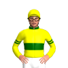 Jockey Silk