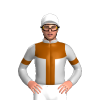 Jockey Silk