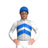 Jockey Silk