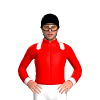 Jockey Silk