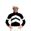 Jockey Silk