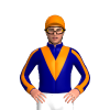 Jockey Silk