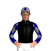 Jockey Silk